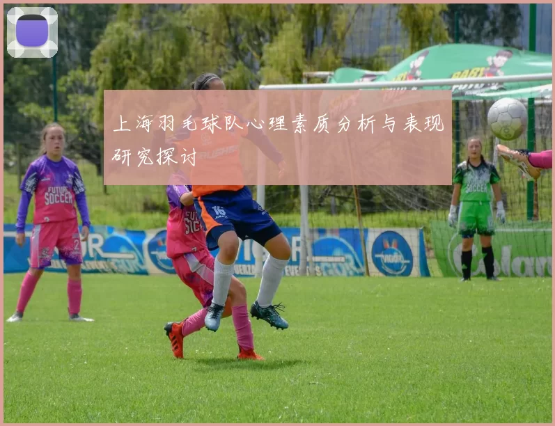 上海羽毛球队心理素质分析与表现研究探讨