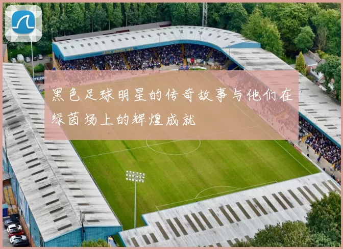 黑色足球明星的传奇故事与他们在绿茵场上的辉煌成就